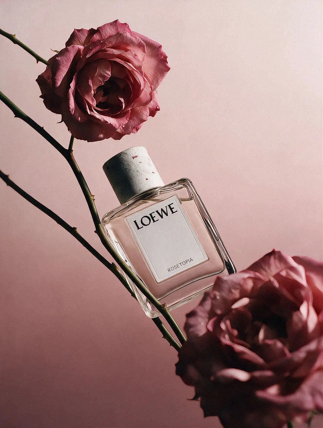 Loewe Rosetopia Spec Campaign