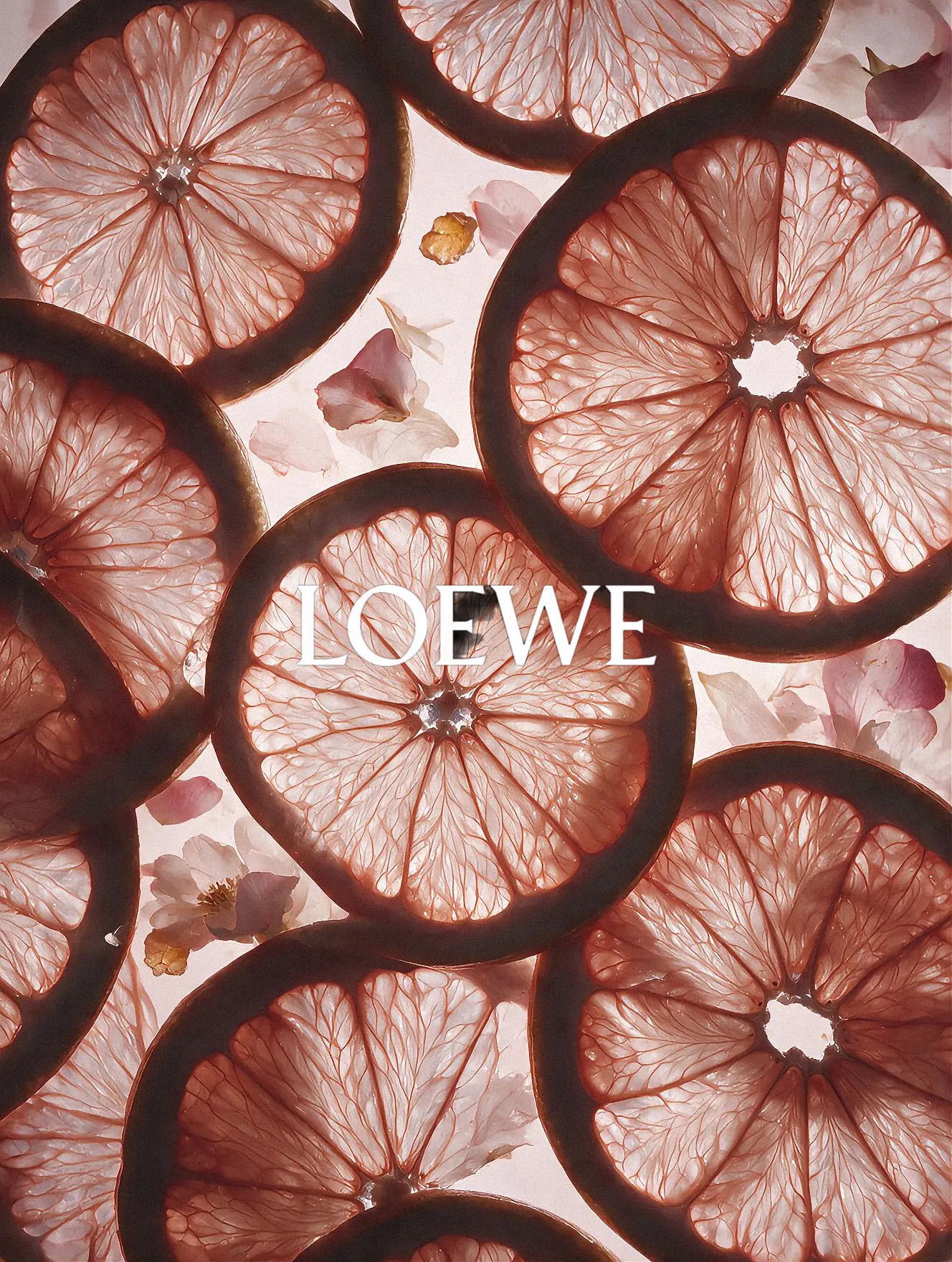 Loewe Rosetopia Spec Campaign
