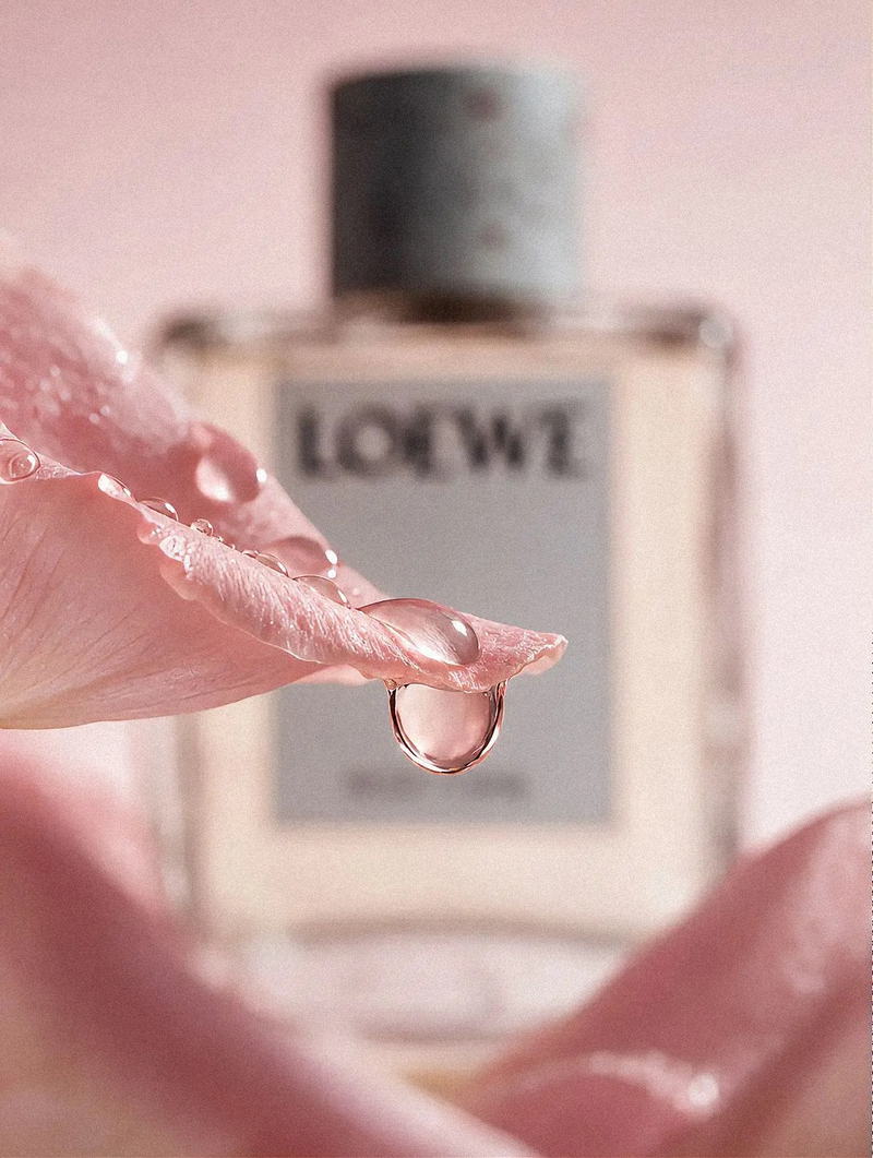 Loewe Rosetopia Spec Campaign