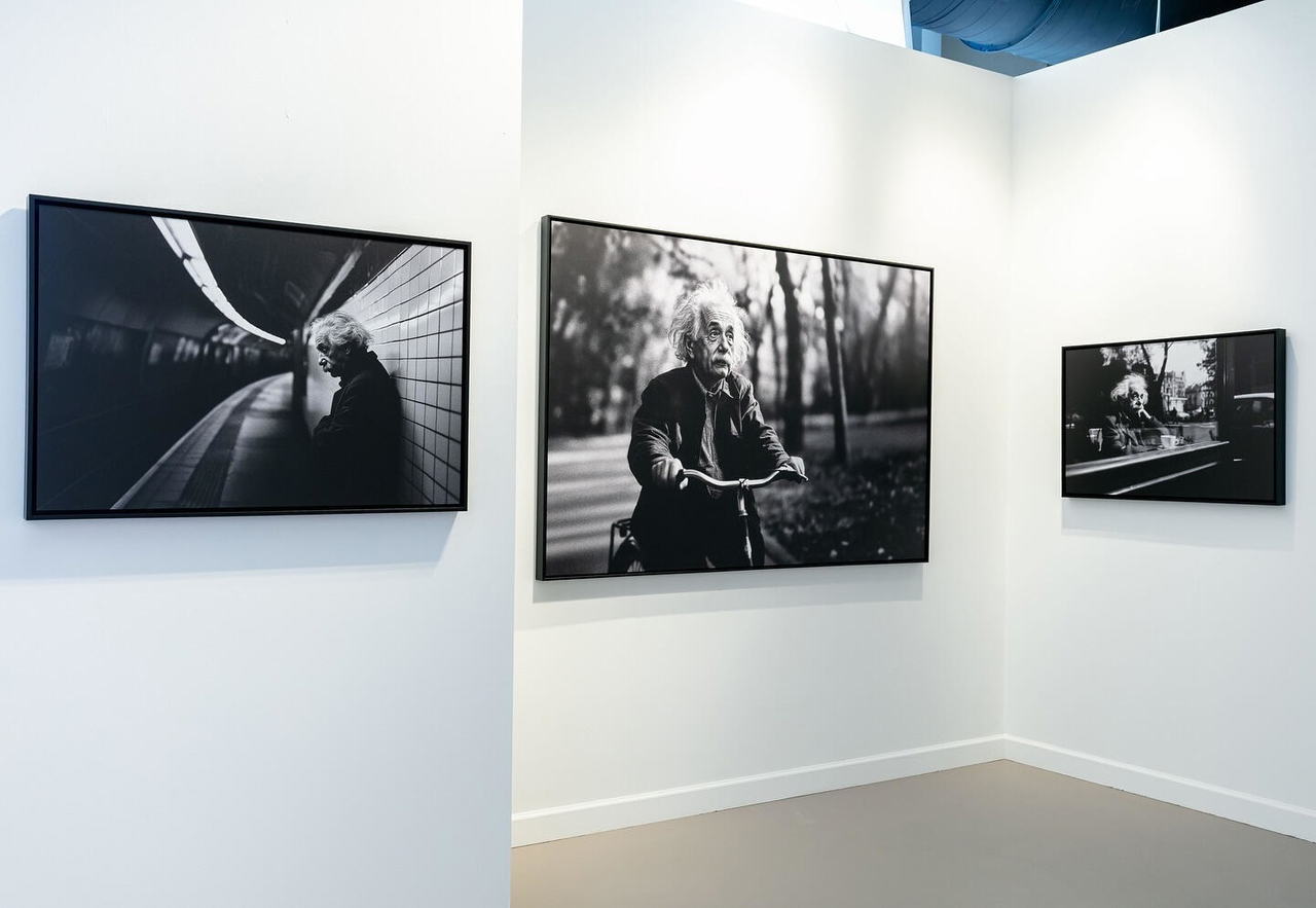 Seedily Image portfolio media