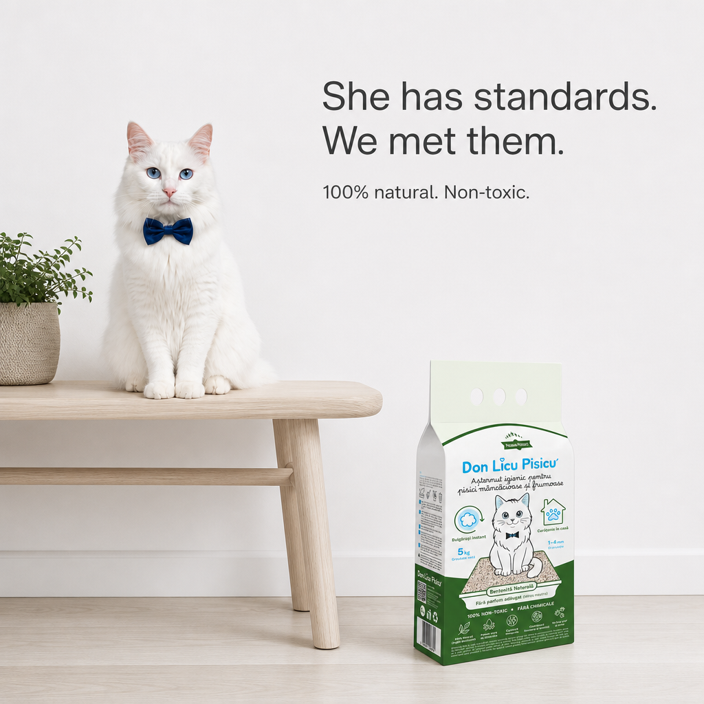 Don Licu Pisicu': AI Character Campaign for a Cat Litter Brand · 2