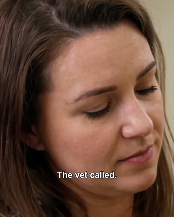 Story-Led Ad: the Unexpected Vet Bill