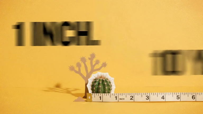 Coby Mendoza Video portfolio video 7